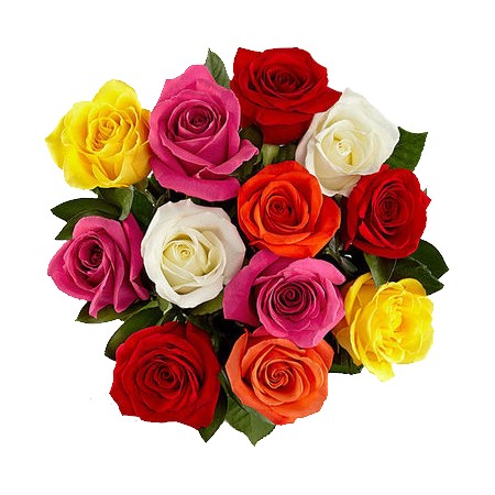 Bouquet Rose 12 Stem (Assorted) 40Cm