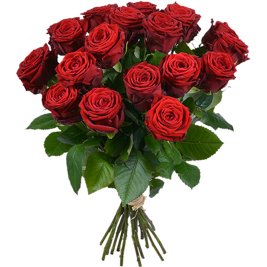 12-Stem Rose Bouquet 40Cm