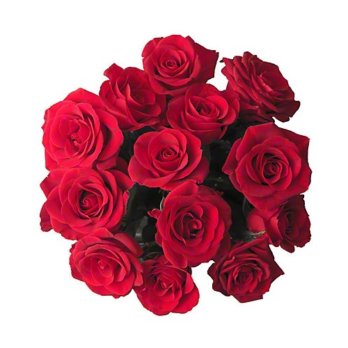 Bouquet Rose 12 Stem (Red) 50Cm
