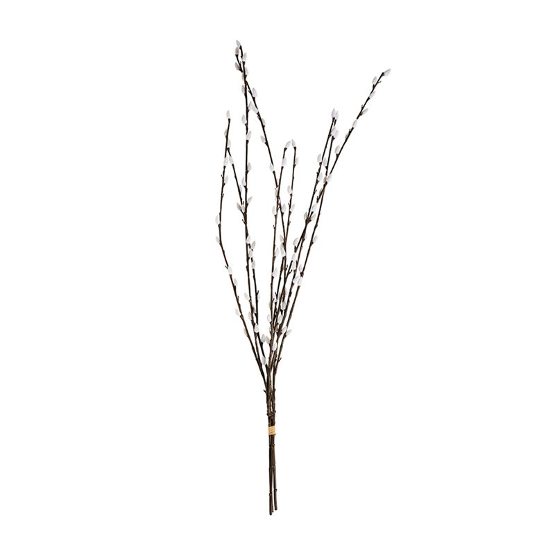 Pussy Willow - Short 3-4' (10 Stems)                                  